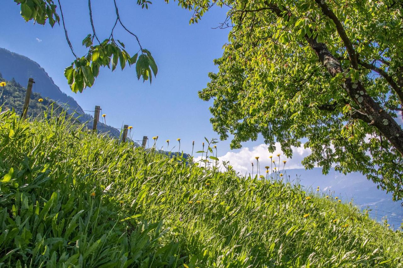Ferienwohnung Pinot Merano Esterno foto